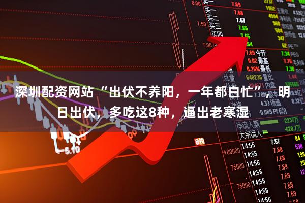 深圳配资网站 “出伏不养阳，一年都白忙”，明日出伏，多吃这8种，逼出老寒湿