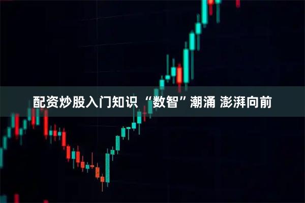 配资炒股入门知识 “数智”潮涌 澎湃向前